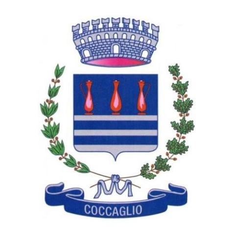 Immagine che raffigura Avviso di manifestazione di interesse per la costituzione di un elenco di soggetti enti del terzo settore iscritti al Runts interessati a partecipare ai lavori di coprogrammazione e attuazione del piano di zona 2025-2027 dell’ambito n. 7 Oglio Ovest