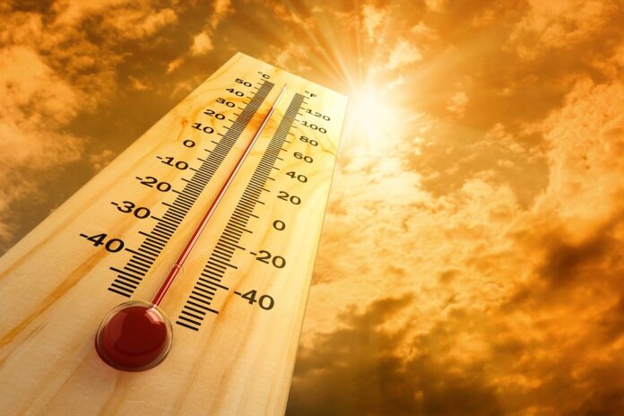 Immagine che raffigura Gestione e prevenzione degli effetti delle ondate di calore 2025
