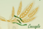 Domenica 19 luglio 2026