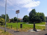 Immagine che raffigura Parco Belvedere
