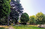Immagine che raffigura Parco Comunale